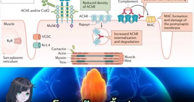 โรคกล้ามเนื้ออ่อนแรงแบบ MG สามารถเป็นรุนแรงขึ้นได้หากไม่รักษา (Manifia)